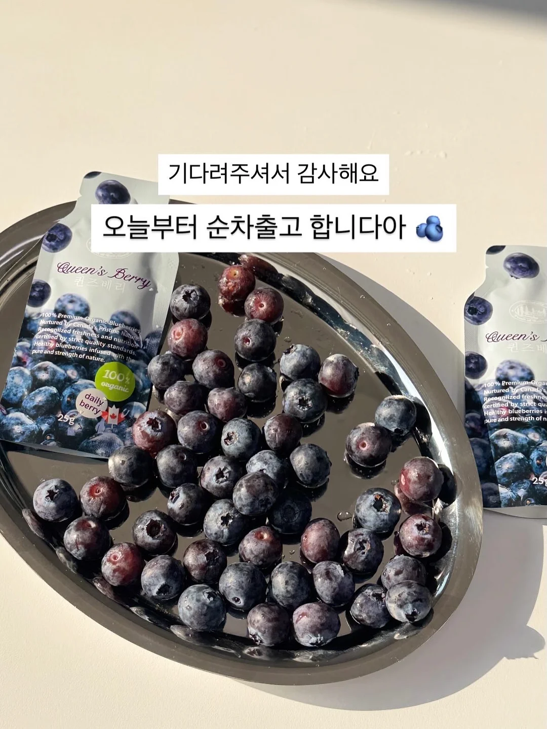 ALTEON 핸드피스 2