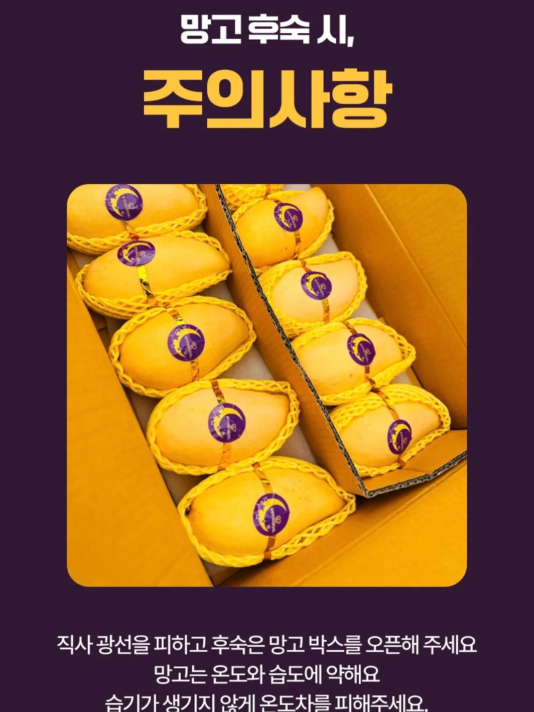 영끄펌+섀도우 눈썹 set 16