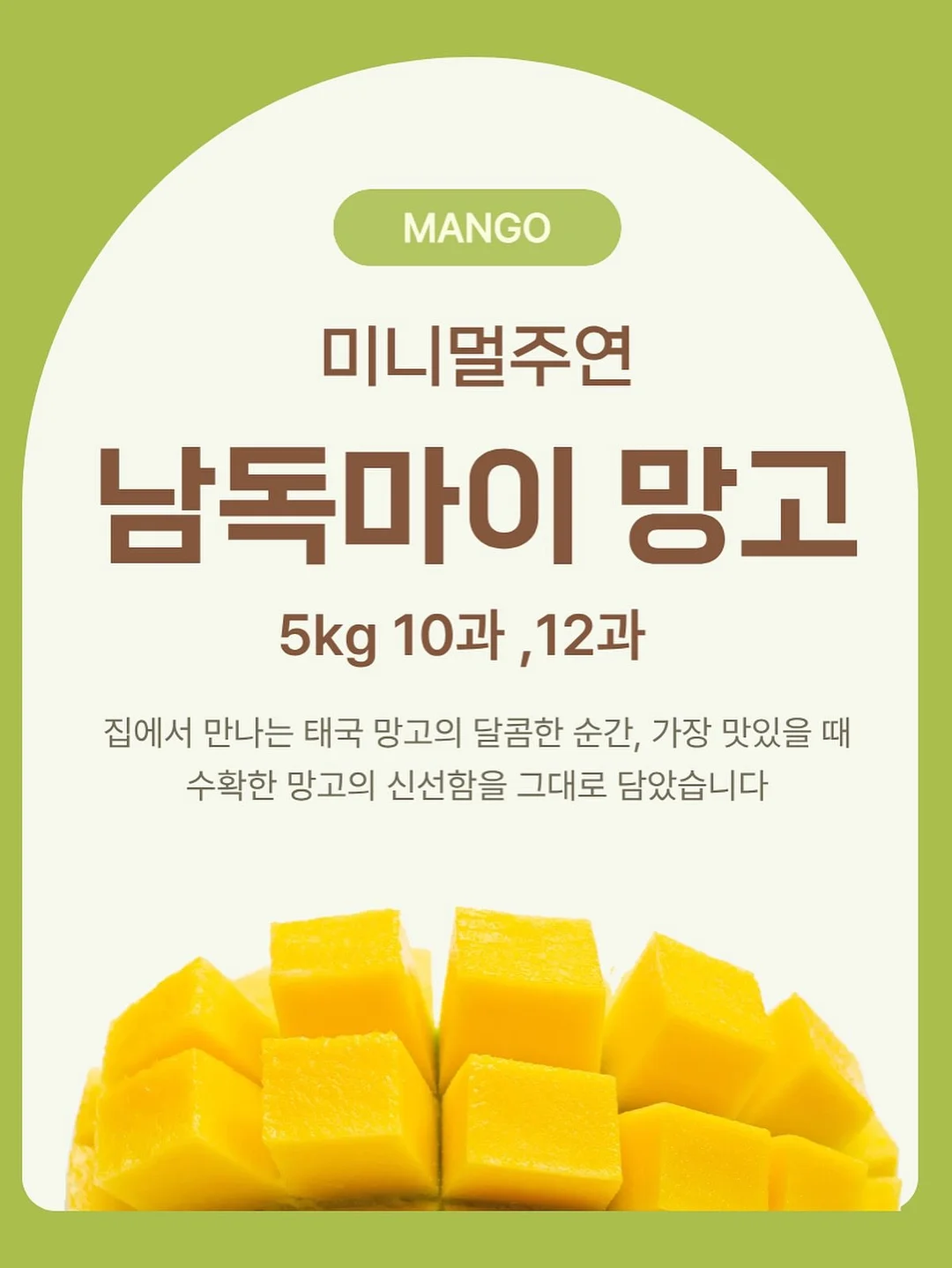 영끄펌+섀도우 눈썹 set 2