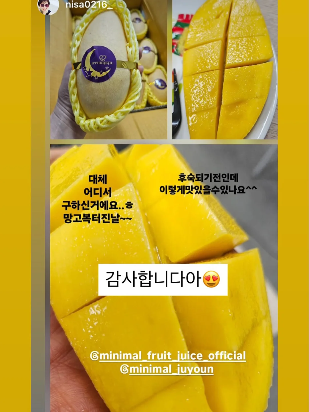 영끄펌+섀도우 눈썹 set 5
