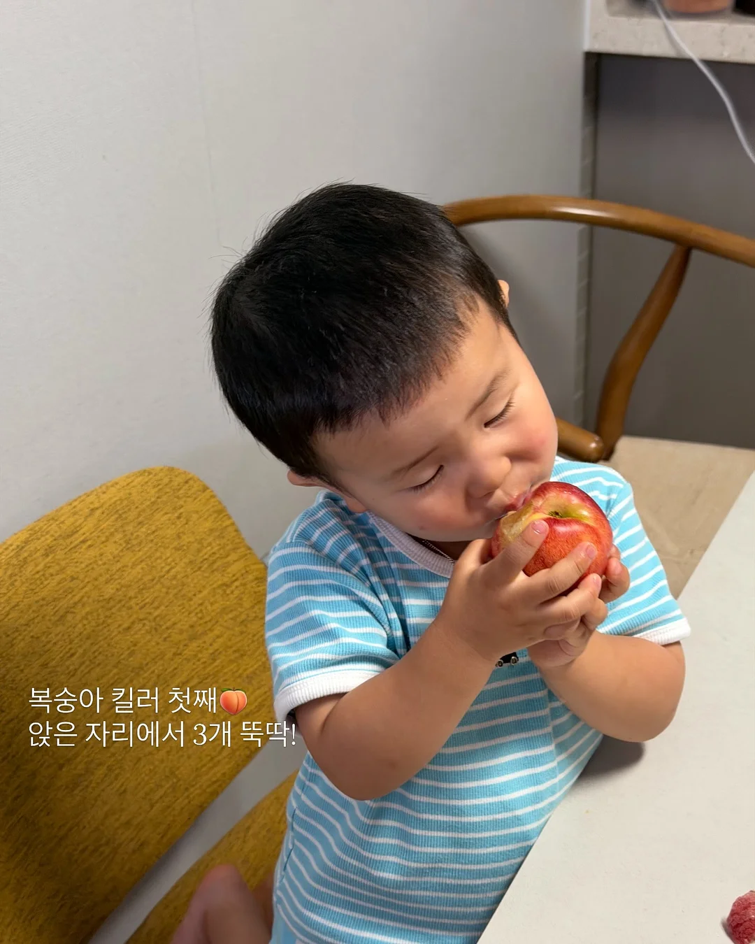 돌리튜튜 스커트 5
