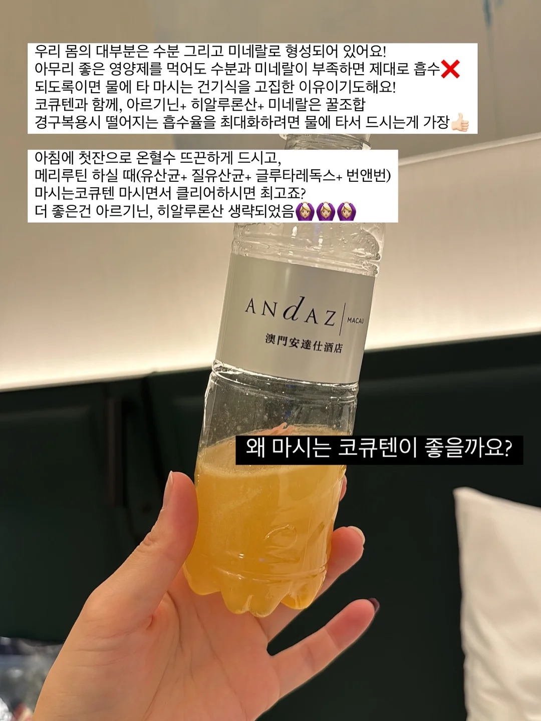 모달티셔츠 16