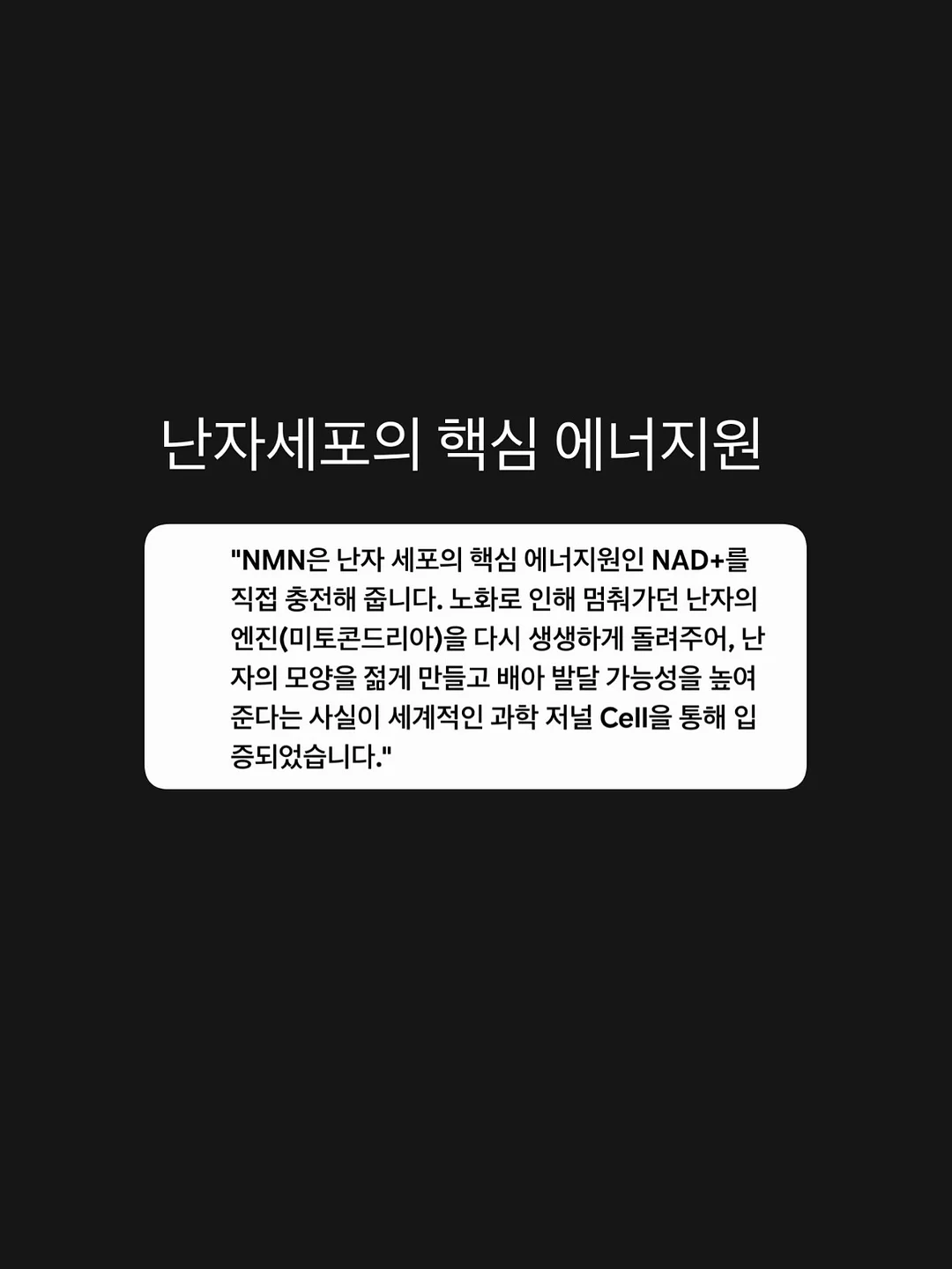 모달티셔츠 8