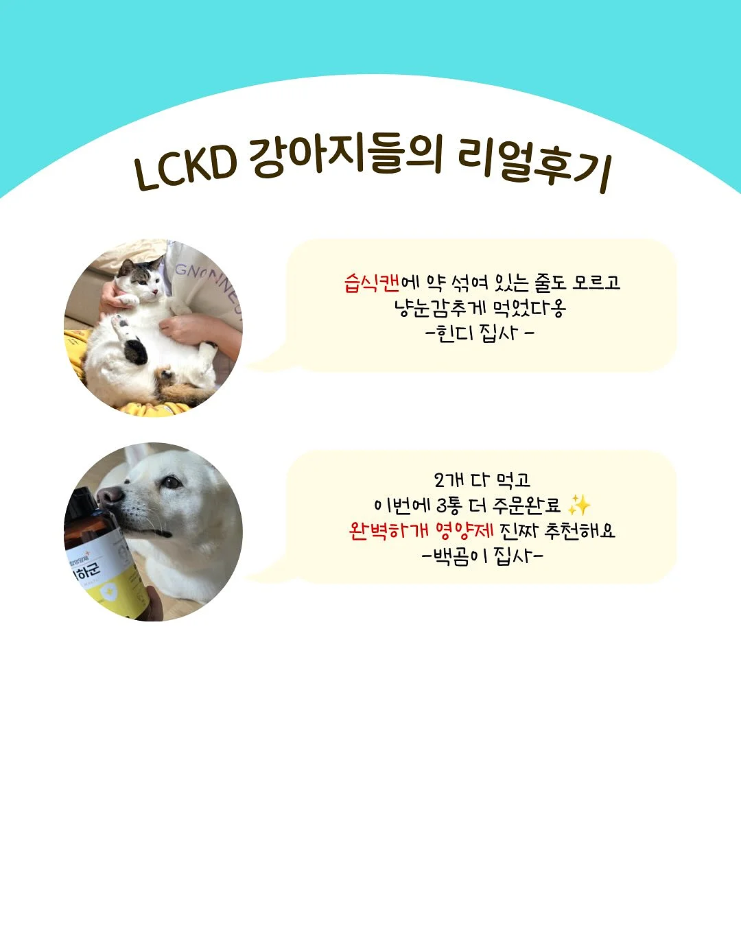 Red Rocks Worship - Echo Holy 음원 편집 3