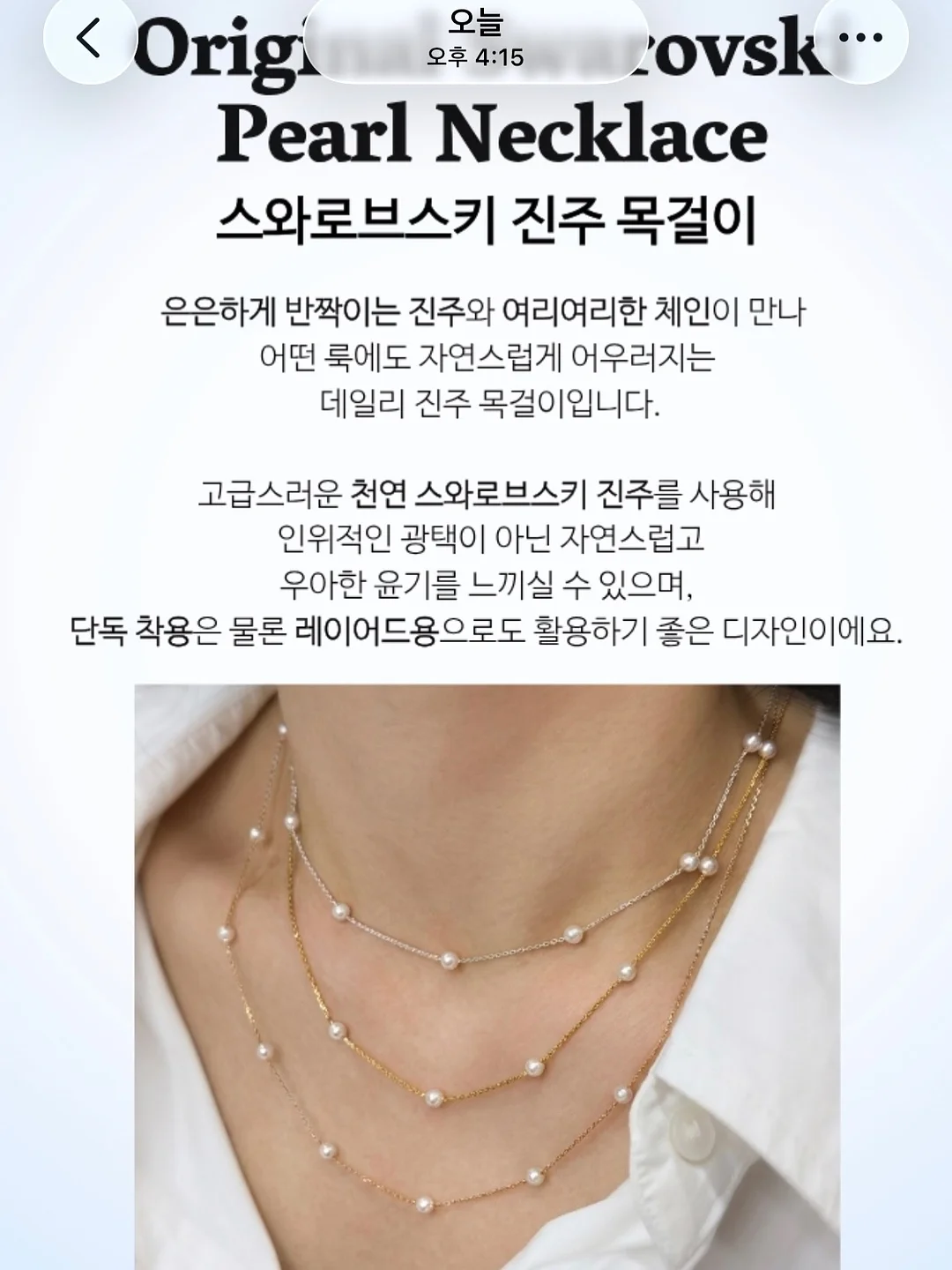 마늘 다지기 1