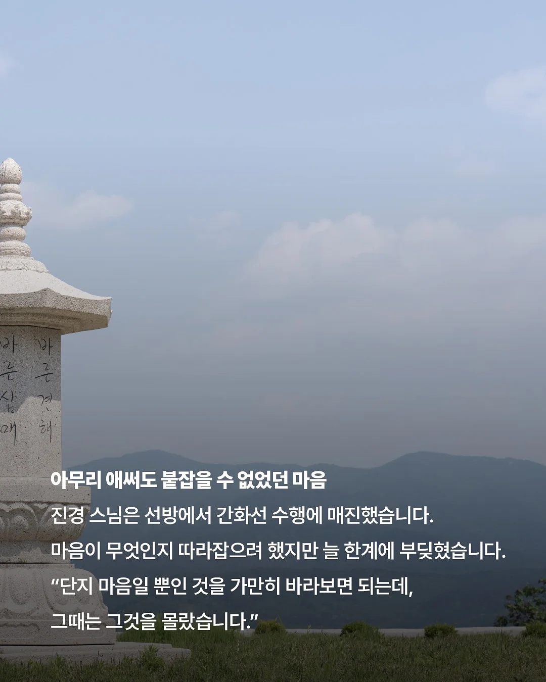 대극천 반납작 복숭아 4