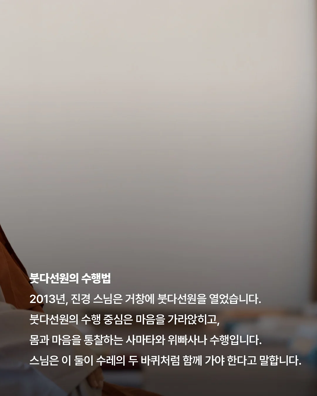 대극천 반납작 복숭아 6