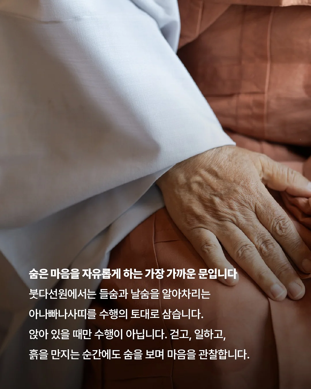 대극천 반납작 복숭아 7