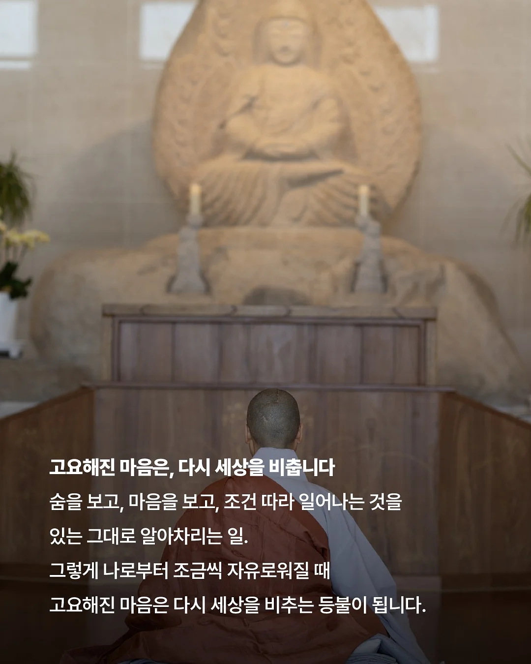 대극천 반납작 복숭아 9