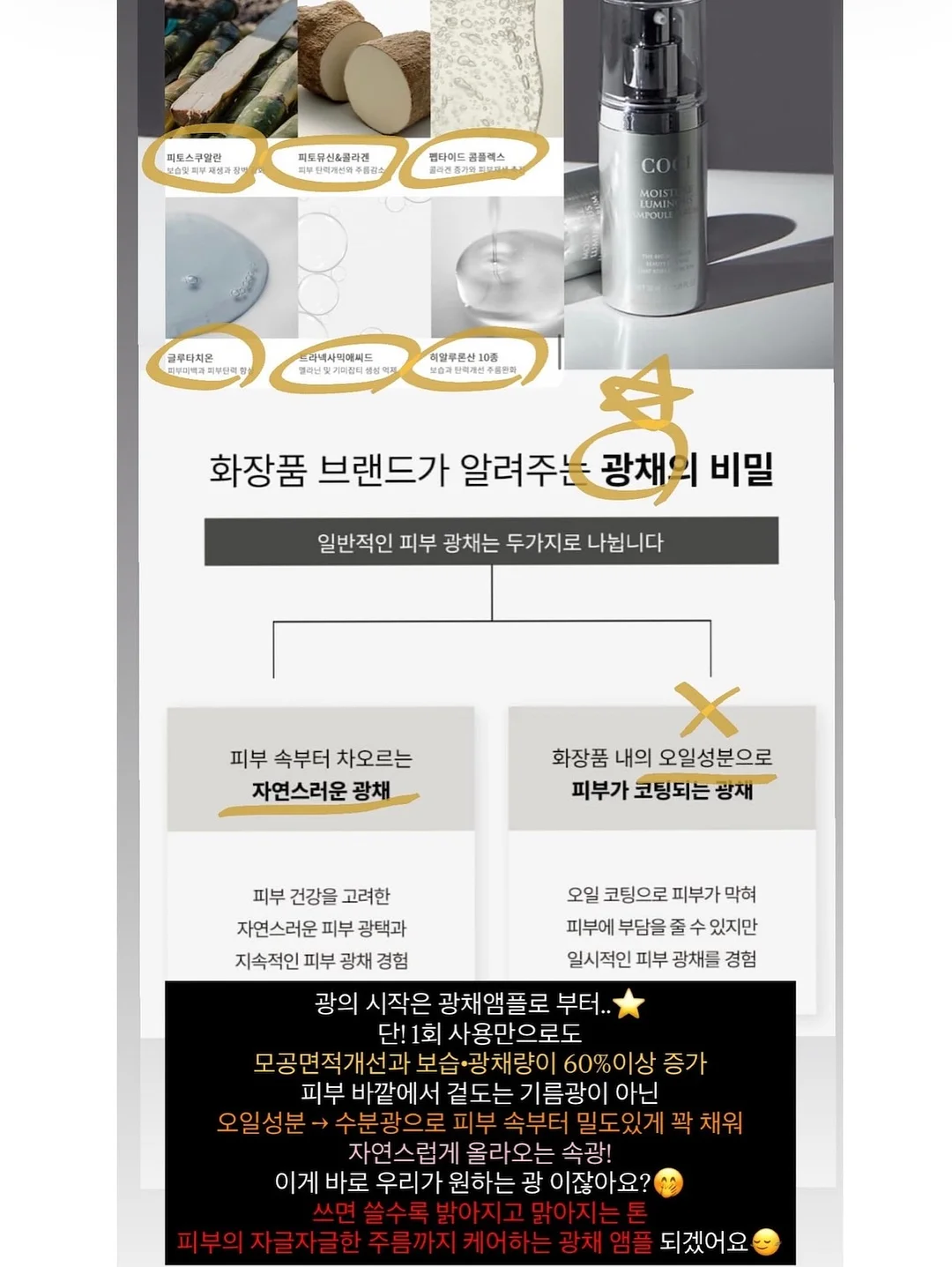 돔케이크 패밀리 11