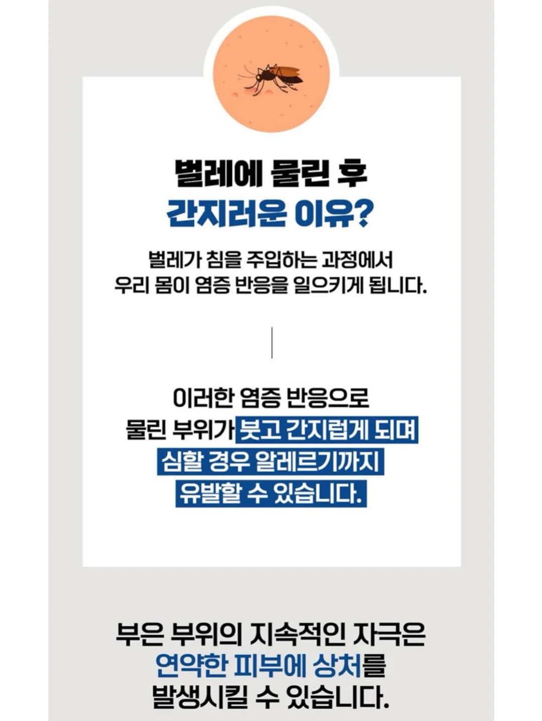 디올 빈티지 오블리크 블랙 미니 핸드백 17