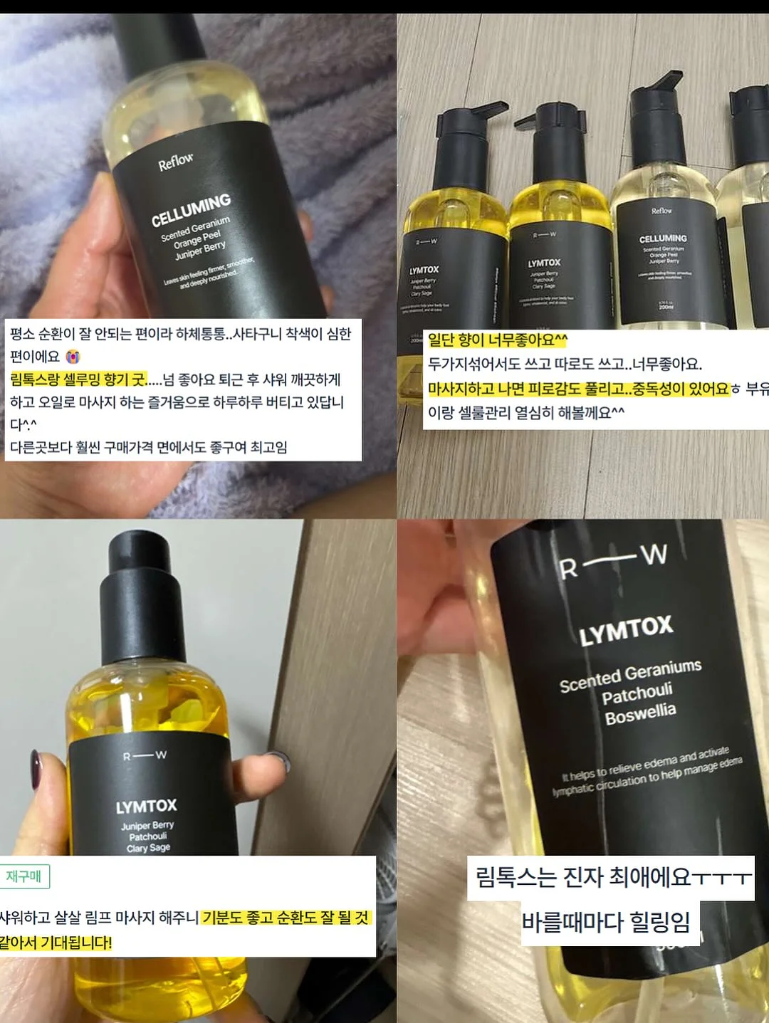 봄의 왈츠 키스컷 6