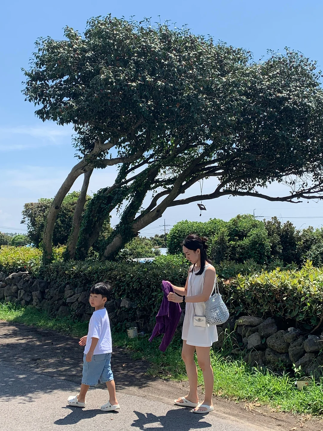 리언스 바지 8