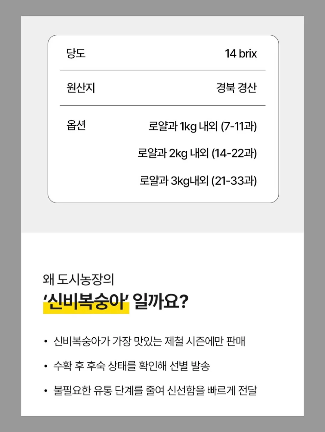 아우린 EVRIN 키높이 스니커즈 14