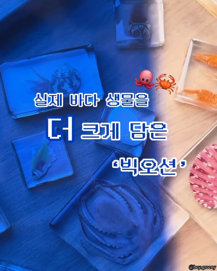 랑게 스튜디오 뉴 샘플