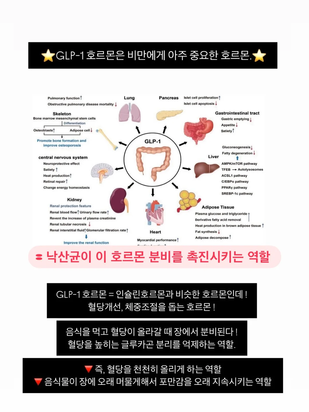 아디다스 Laliga 레알마드리드 유니폼 16