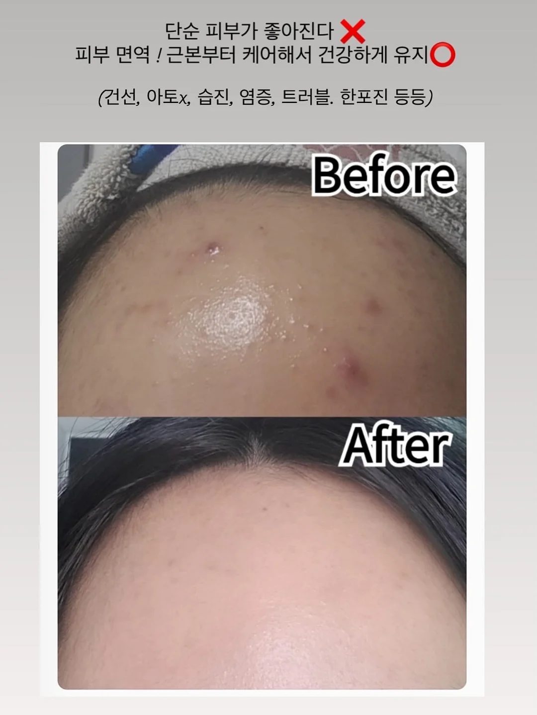 프리미엄 캡슐세제 12