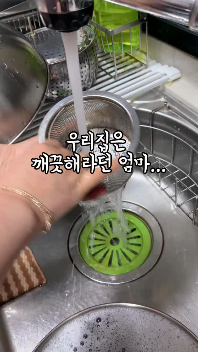 비엔나 여름 음악 캠프