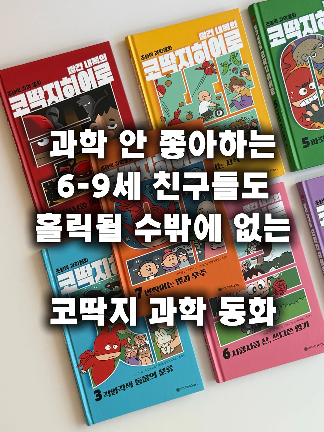 와플티 1
