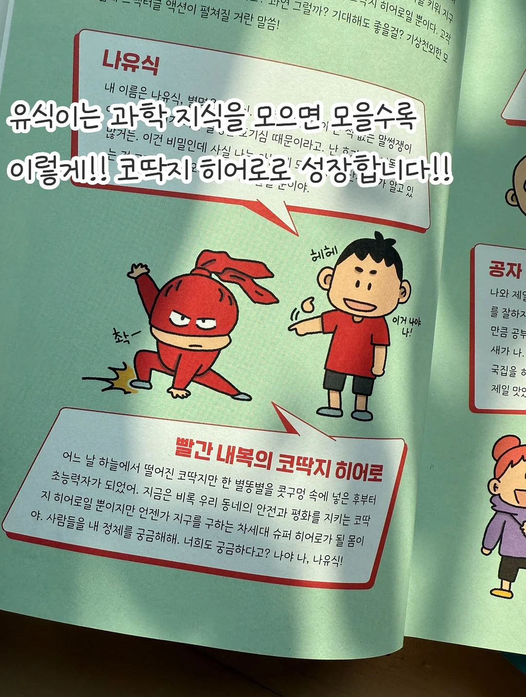 와플티 5