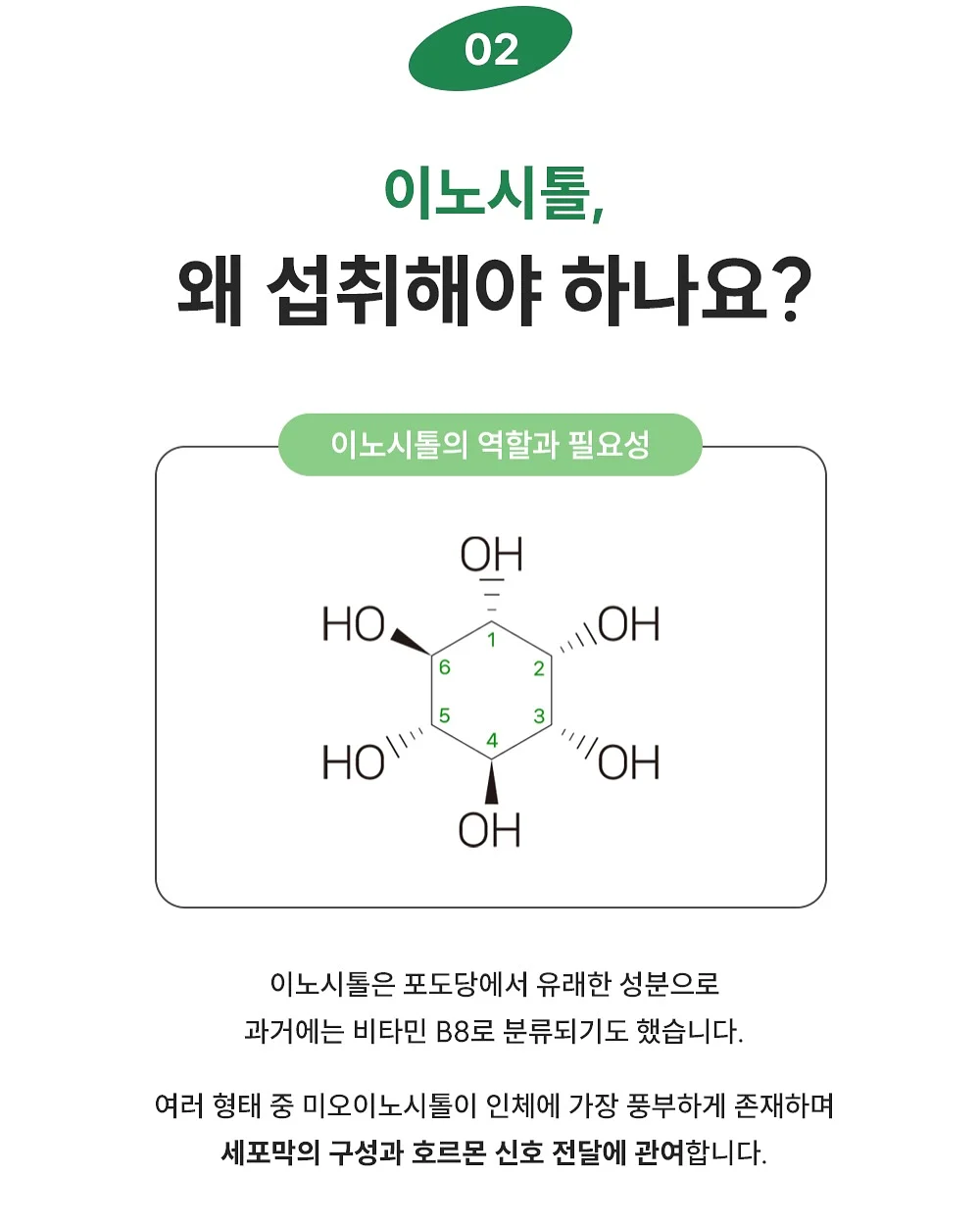 바람막이 6