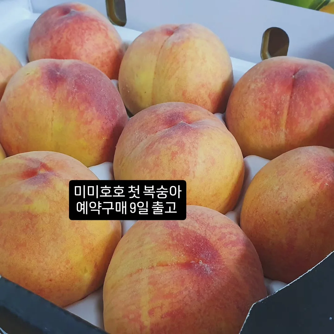 트라넥삼산서플톤업선에센스 1
