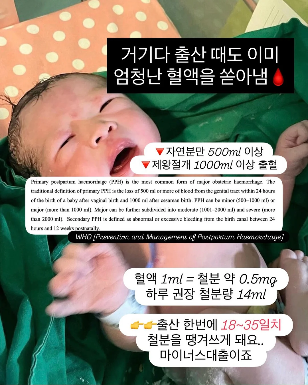 드립백 커피 7