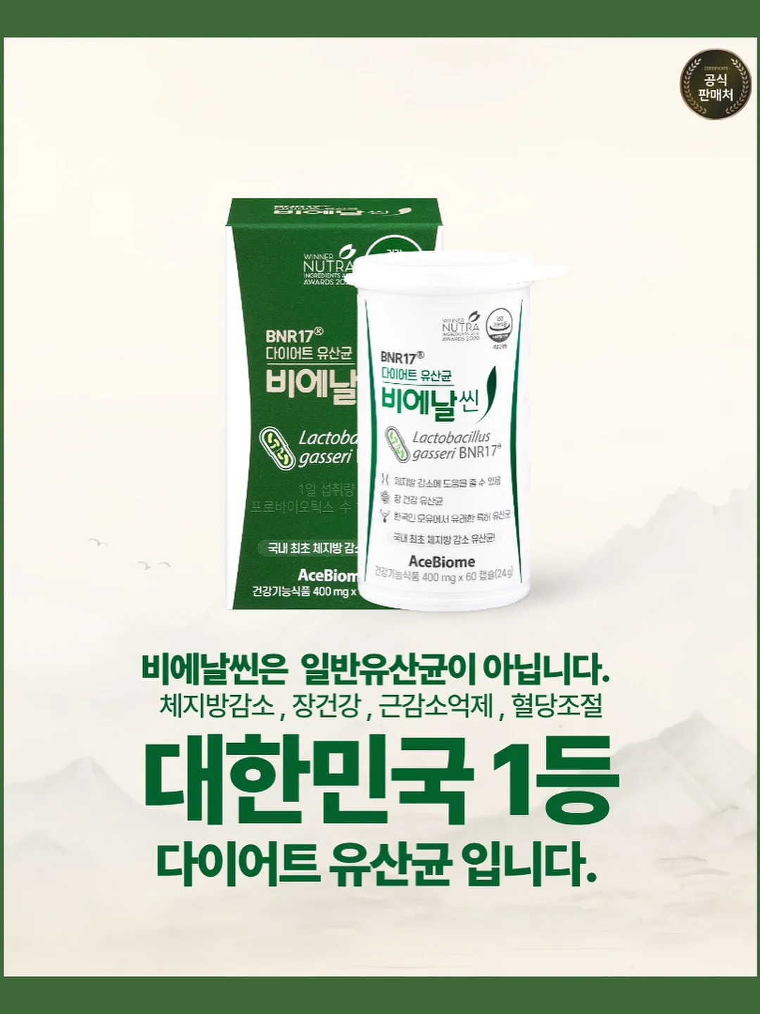 강아지케이크 2