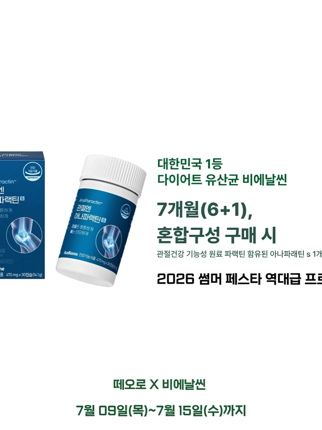 강아지케이크 6