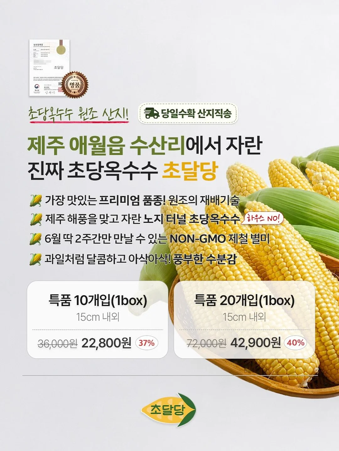 리투삭스 12