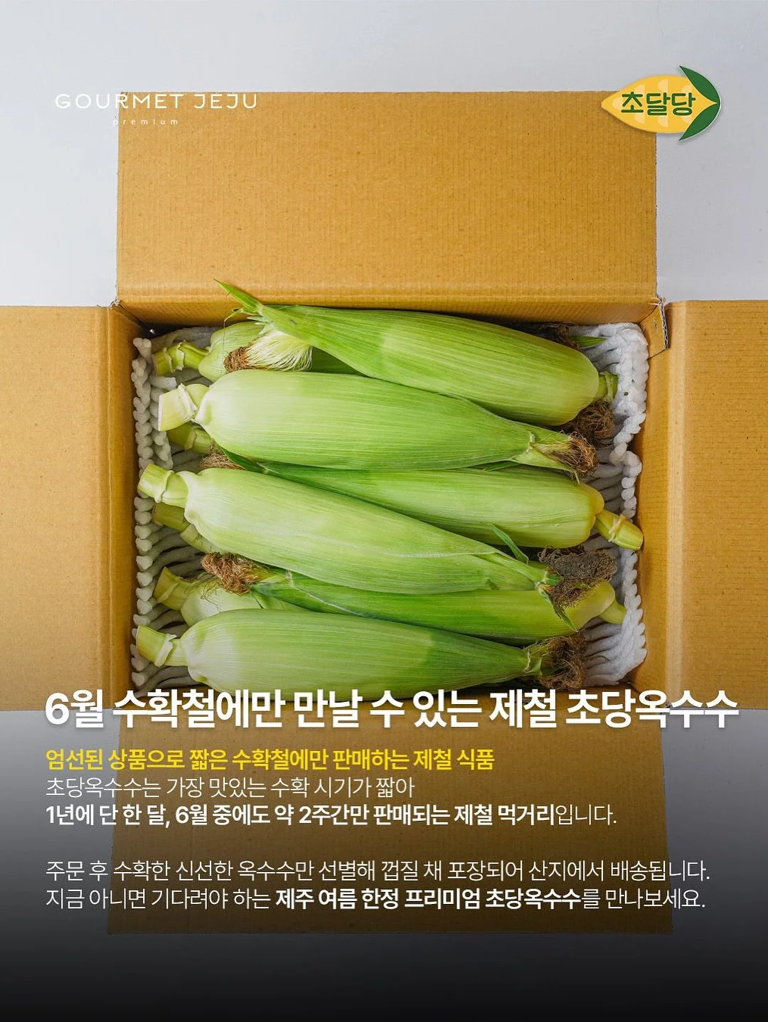 리투삭스 4