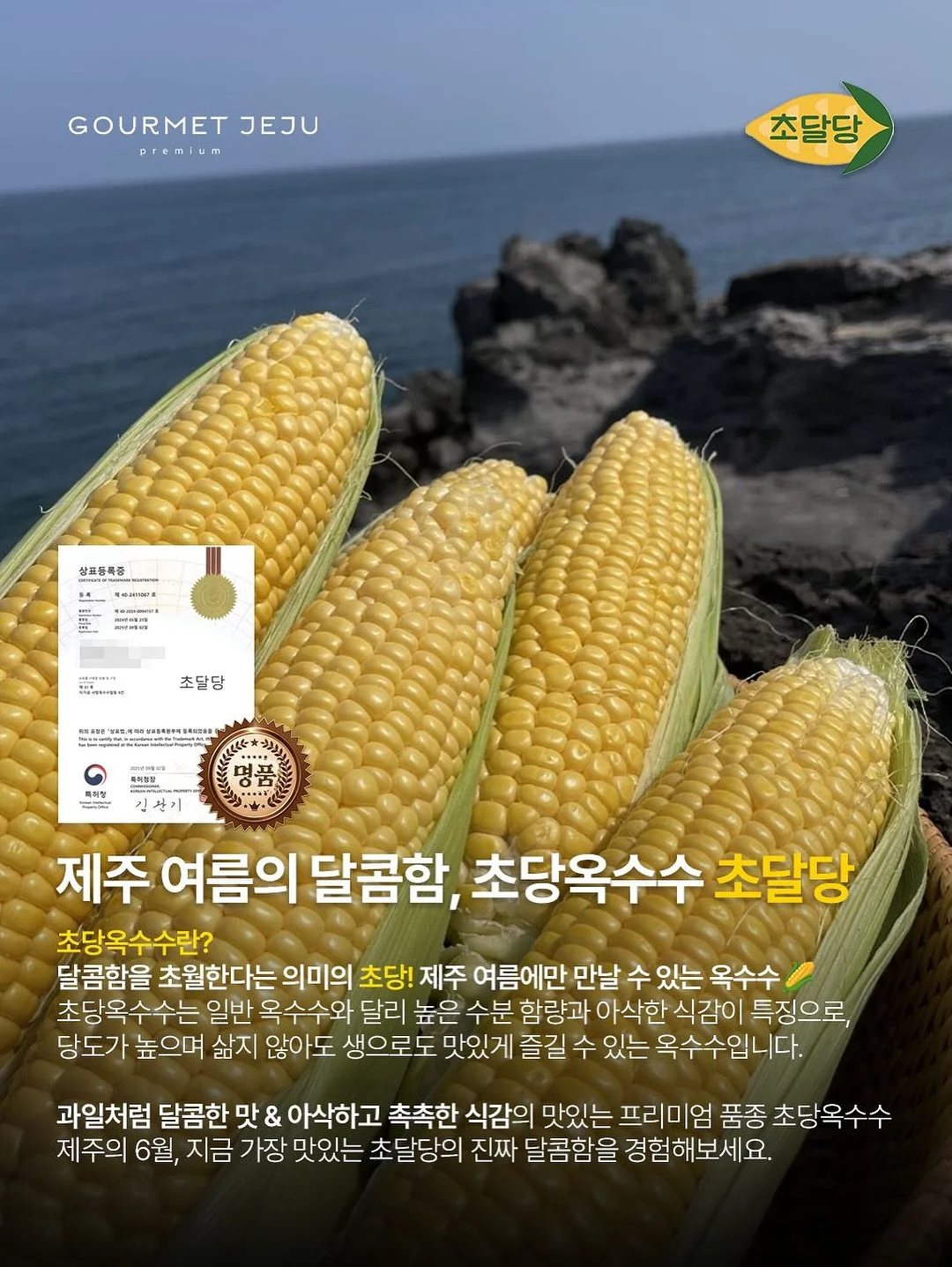 리투삭스 5