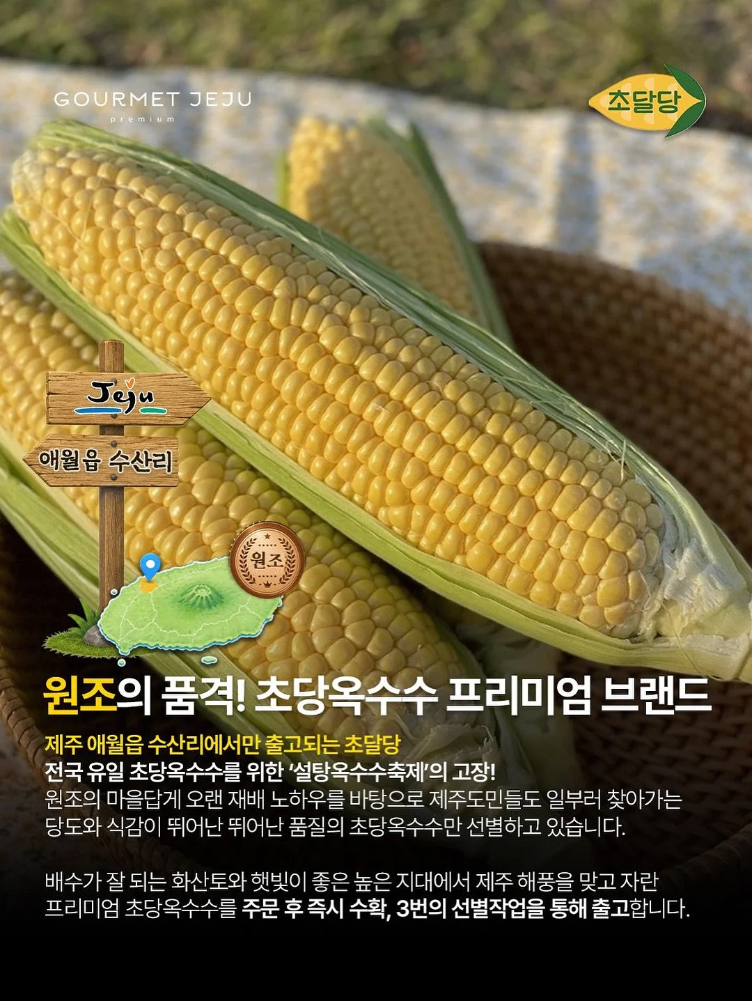 리투삭스 6