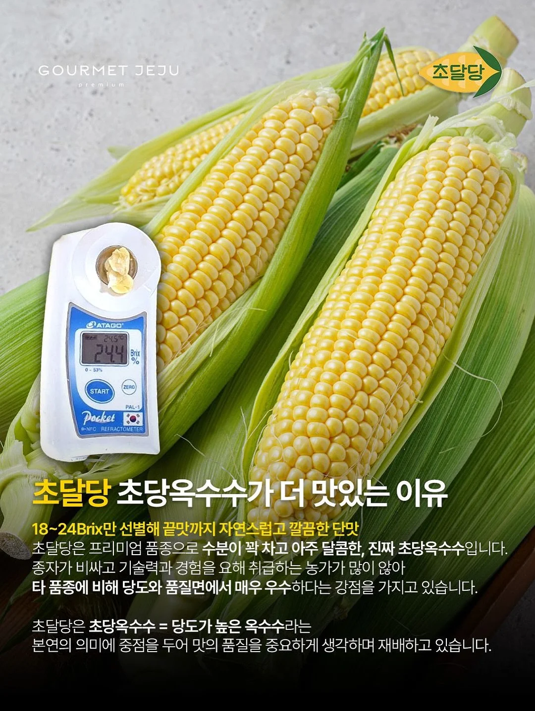 리투삭스 7