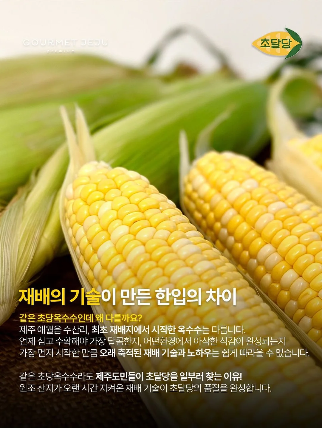 리투삭스 8