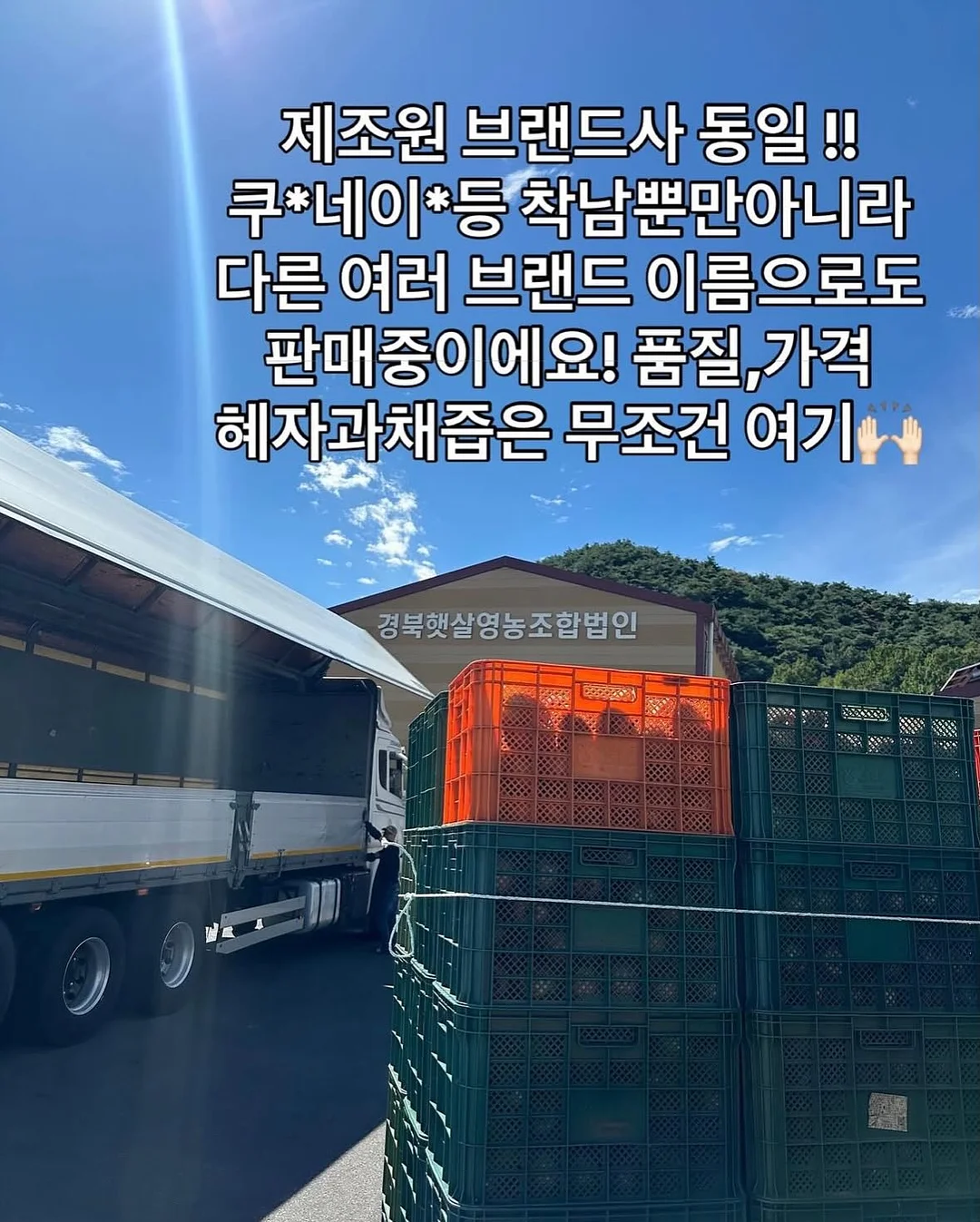 집 모양 포장박스 11
