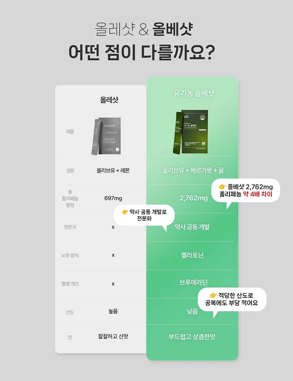 노아 토트 2