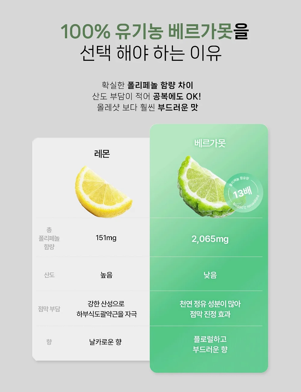 노아 토트 3
