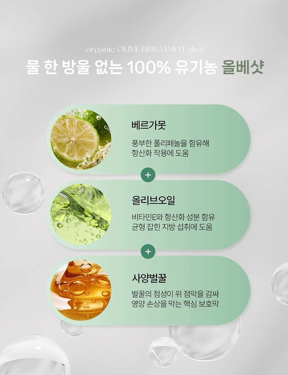 노아 토트 4