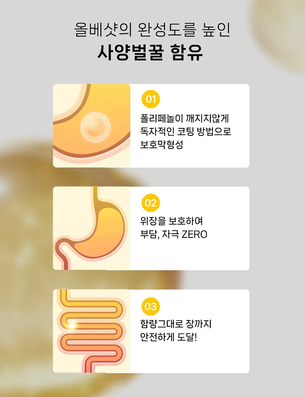 노아 토트 5