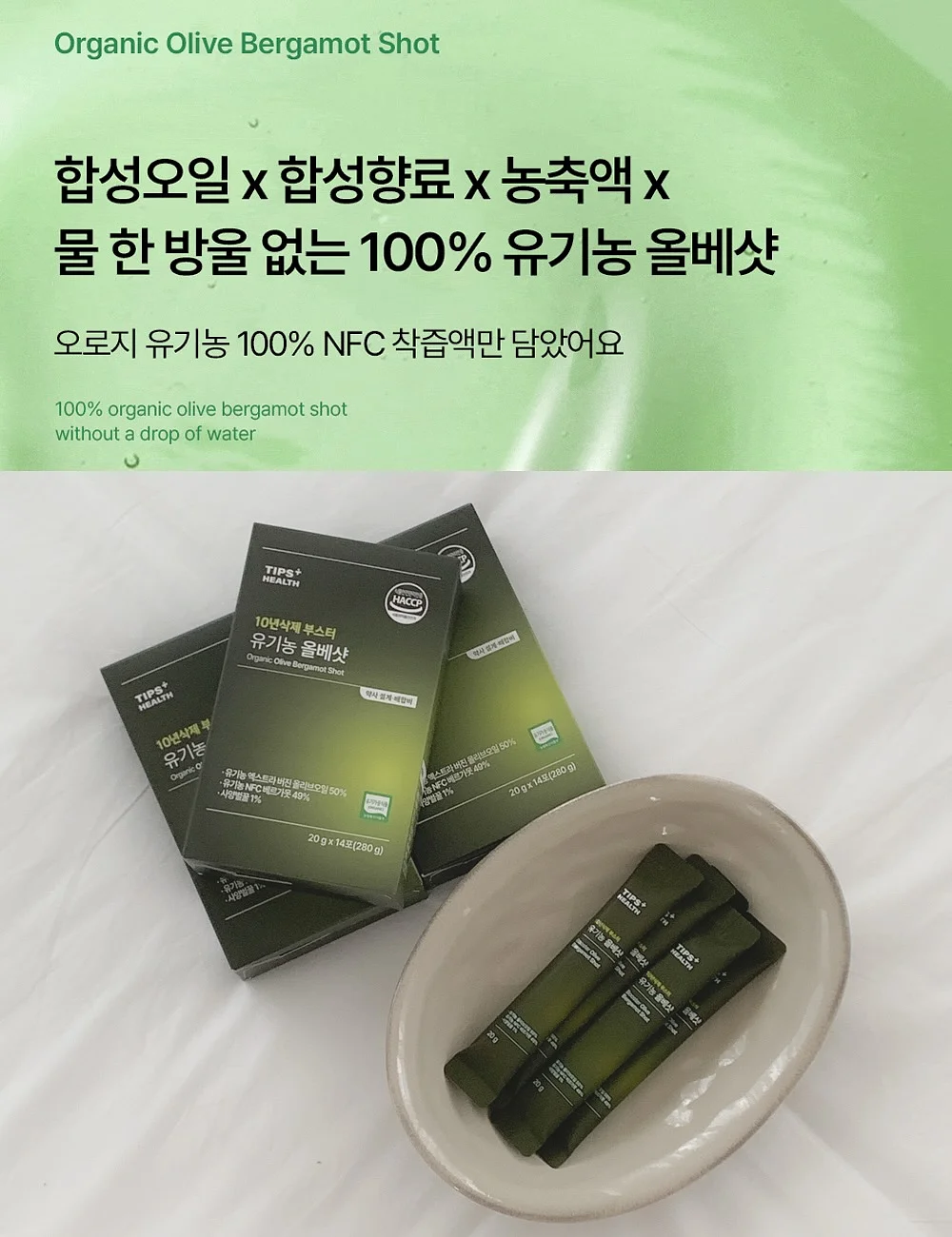 노아 토트 6