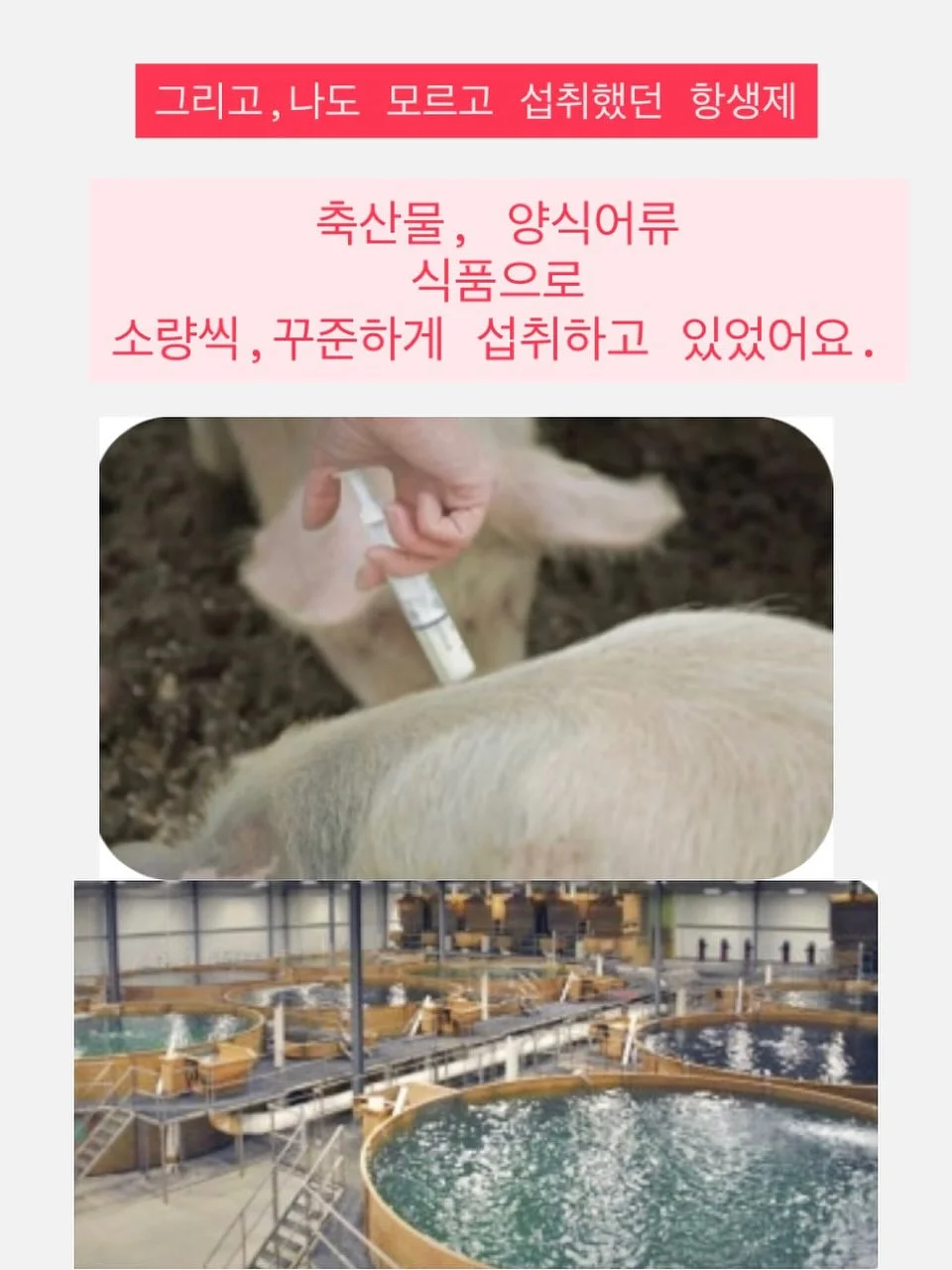 리페론 재생크림 7