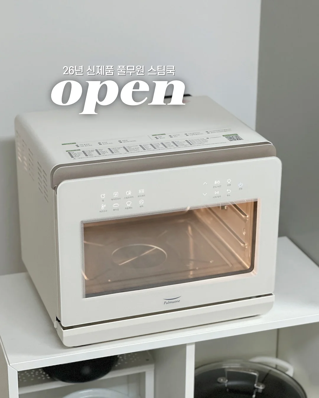 뱅갈 고무나무 1