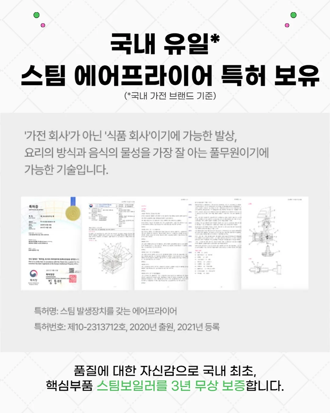 뱅갈 고무나무 3
