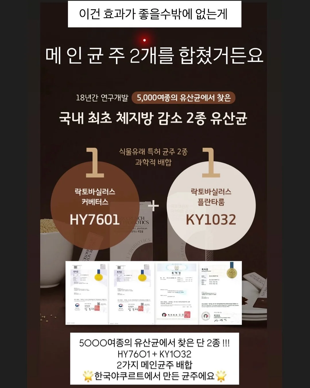 암소 우둔살/전각살 14