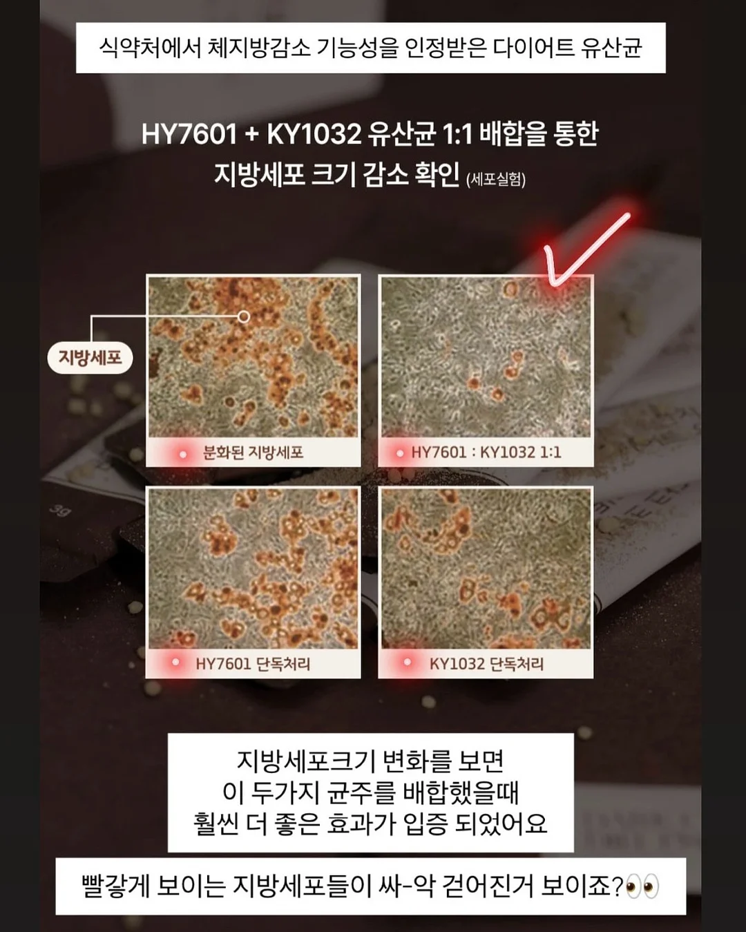 암소 우둔살/전각살 15