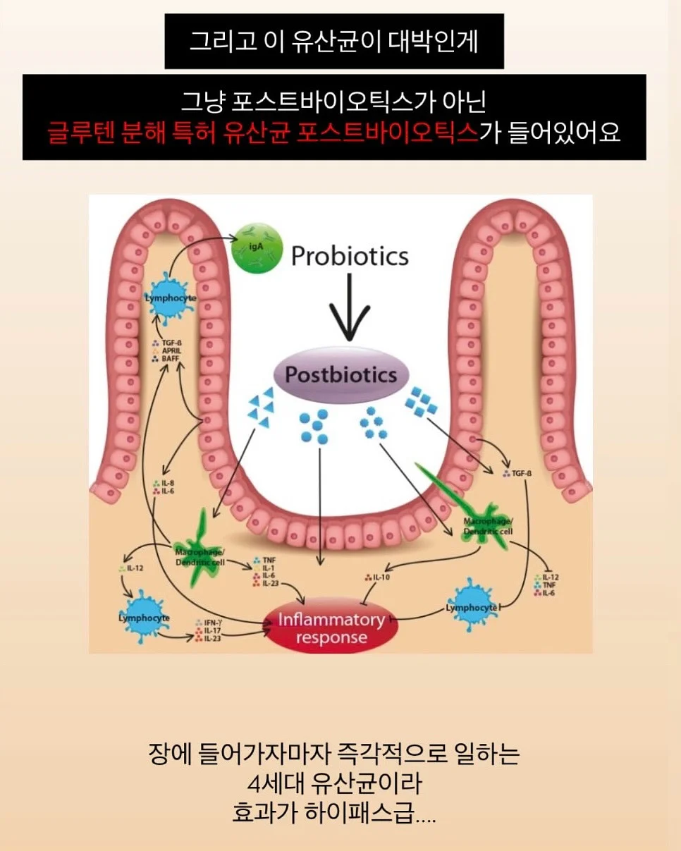 암소 우둔살/전각살 10