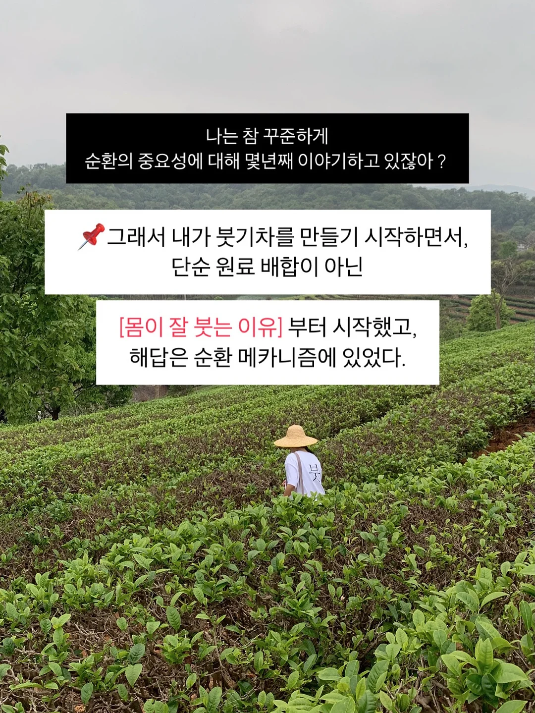 흑임자쌀케이크 11