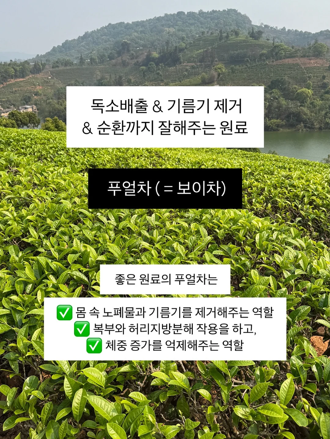 흑임자쌀케이크 12