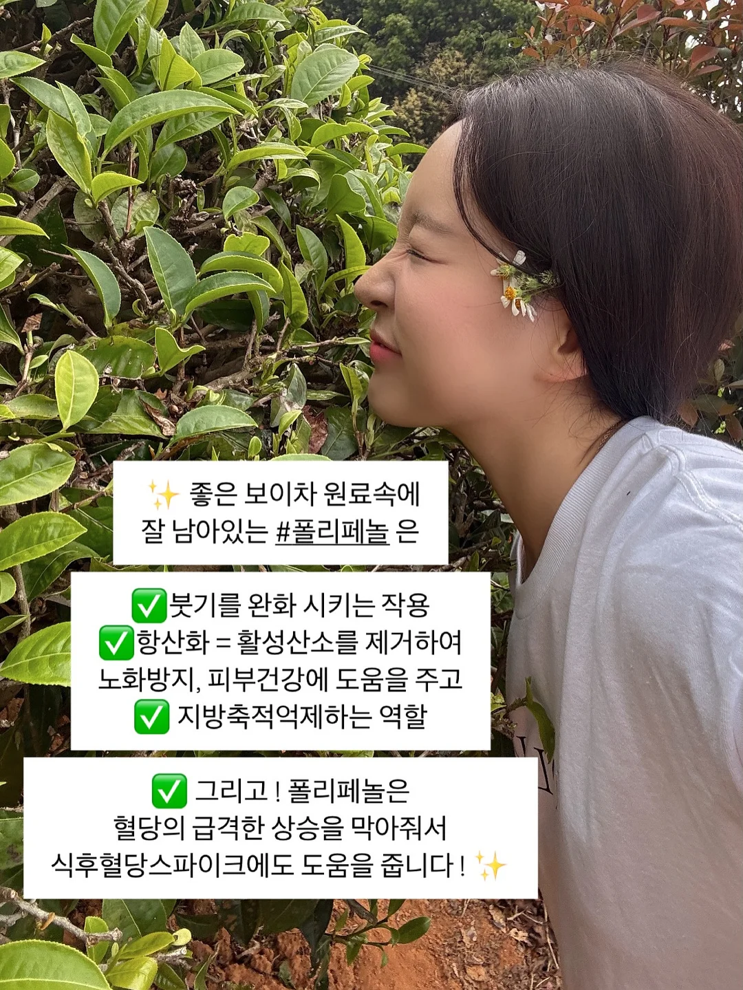 흑임자쌀케이크 13